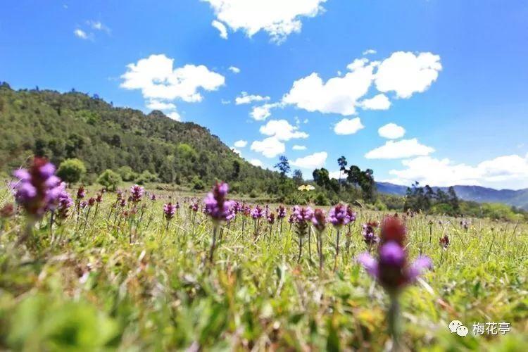 能量需多次转换，船舶采用电力推进仅用电即可，是否多此一举？