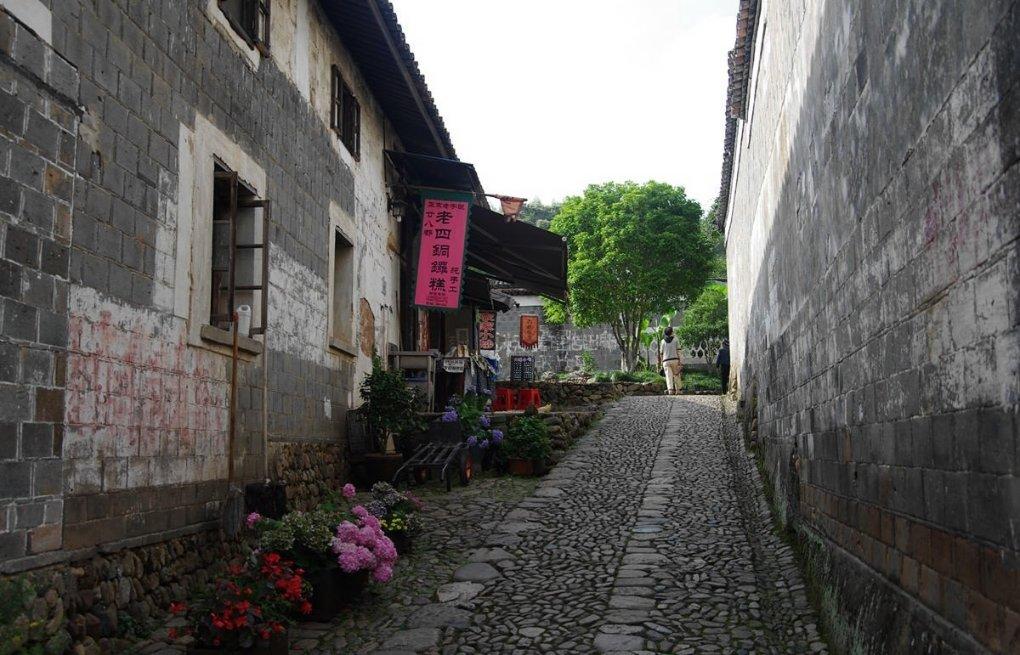 蝙蝠侠：阿甘骑士